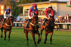 Racing TV NH Flat Race