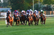 Racing TV NH Flat Race