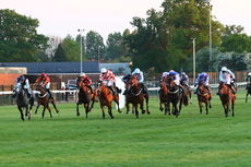Racing TV NH Flat Race