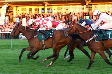 Racing TV NH Flat Race