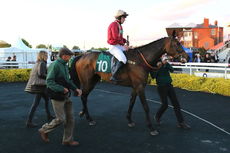 Racing TV NH Flat Race