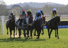 Racing TV.com Maiden Open NH Flat Race Div 2