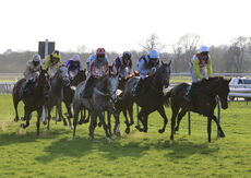 Racing TV.com Maiden Open NH Flat Race Div 2