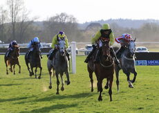 Racing TV.com Maiden Open NH Flat Race Div 2