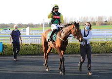 Racing TV.com Maiden Open NH Flat Race Div 2