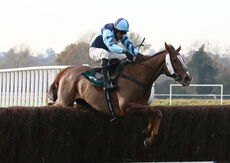 Accordingtogino (Harry Skelton)