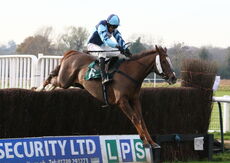 Accordingtogino (Harry Skelton)