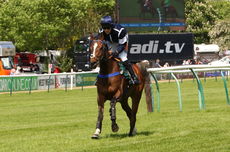 Qatar Airways Coronation H'cap Hurdle.