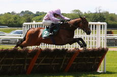 Qatar Airways Coronation H'cap Hurdle.
