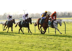 EBF/TBA Mares' NH Flat Race (Div 1 )