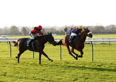EBF/TBA Mares' NH Flat Race (Div 1 )