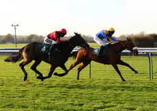 EBF/TBA Mares' NH Flat Race (Div 1 )