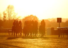 EBF Mares' NH Flat Race (Div 2 )