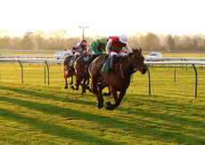 EBF Mares' NH Flat Race (Div 2 )