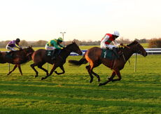 EBF Mares' NH Flat Race (Div 2 )