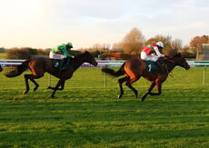 EBF Mares' NH Flat Race (Div 2 )