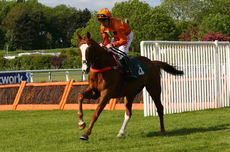 Wigley Group Carnival H'cap Chase