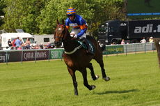 Wigley Group Carnival H'cap Chase