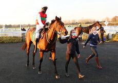 EBF Mares' NH Flat Race (Div 2 )