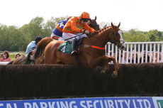 Wigley Group Carnival H'cap Chase