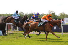 Wigley Group Carnival H'cap Chase