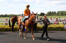 Wigley Group Carnival H'cap Chase