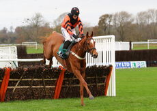 Warwick 18 November 2020