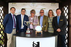 Wigley Group Carnival H'cap Chase