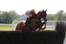 Overbury Stud Crudwell Cup Hunters' Chase.