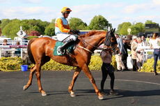 Overbury Stud Crudwell Cup Hunters' Chase.