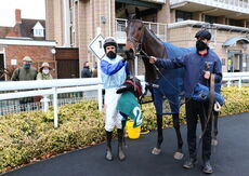 Racing Tv NH Novices' Hurdle