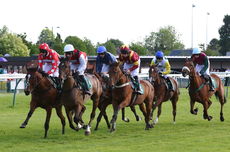 Racing TV Warwickshire NH Flat Race