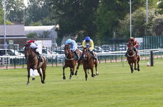 Racing TV Warwickshire NH Flat Race