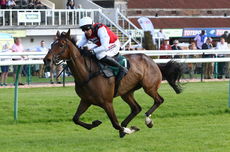 Olly The Brave (Harry Skelton)