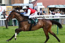 Olly The Brave (Harry Skelton)