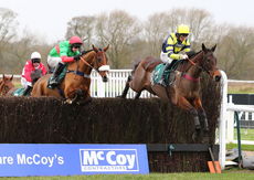 McCoy Contractors Hampton Novices' Chase.