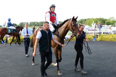 Racing TV Warwickshire NH Flat Race