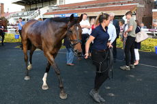 Racing TV Warwickshire NH Flat Race