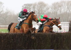 McCoy Contractors Hampton Novices' Chase.