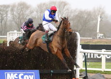 McCoy Contractors Hampton Novices' Chase.