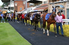 Pertemps Network Jockey Club Challenge Charity Race.