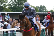 Pertemps Network Jockey Club Challenge Charity Race.