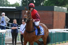 Pertemps Network Jockey Club Challenge Charity Race.