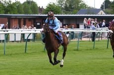 Pertemps Network Jockey Club Challenge Charity Race.