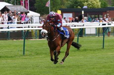 Pertemps Network Jockey Club Challenge Charity Race.