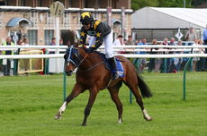 Pertemps Network Jockey Club Challenge Charity Race.