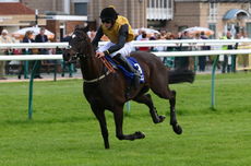 Pertemps Network Jockey Club Challenge Charity Race.