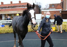 Racing TV Mares' Novices' Hurdle.