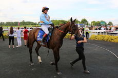 Pertemps Network Jockey Club Challenge Charity Race.
