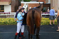 Pertemps Network Jockey Club Challenge Charity Race.